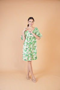Special Collection: Begonia