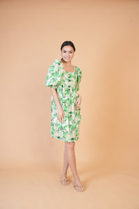 Special Collection: Begonia