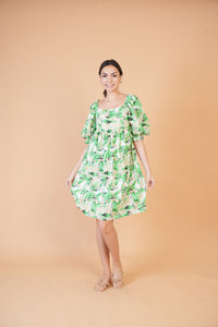 Special Collection: Begonia