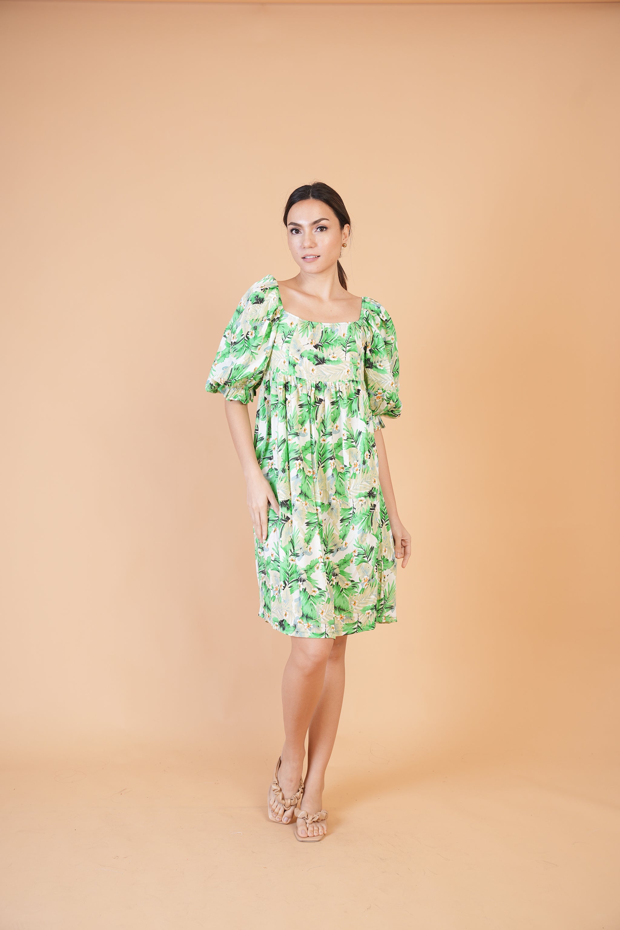 Special Collection: Begonia