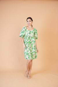 Special Collection: Begonia