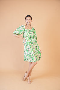 Special Collection: Begonia