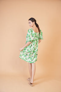 Special Collection: Begonia