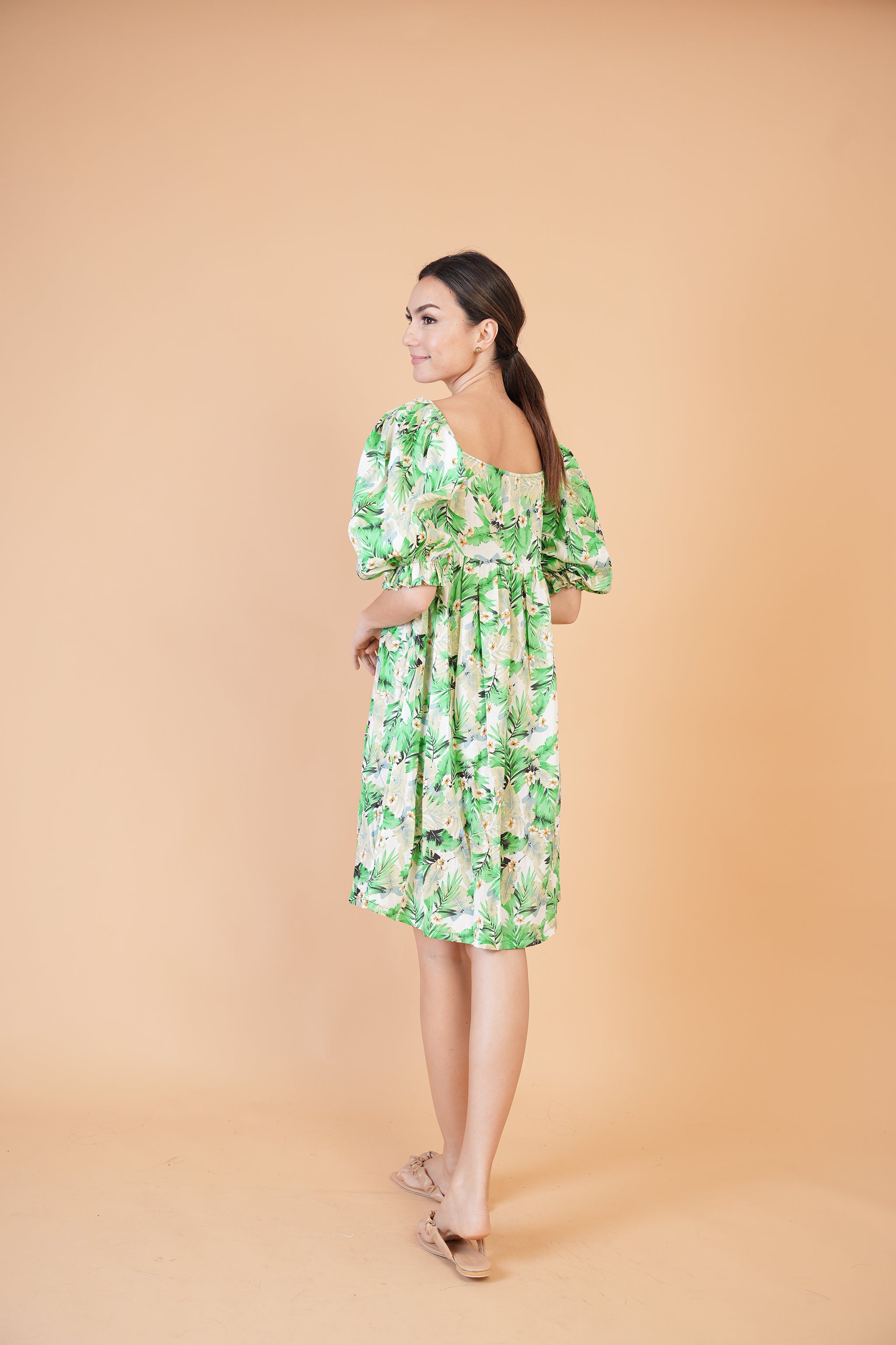 Special Collection: Begonia